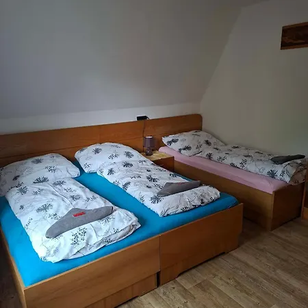 Guest house Jandlova